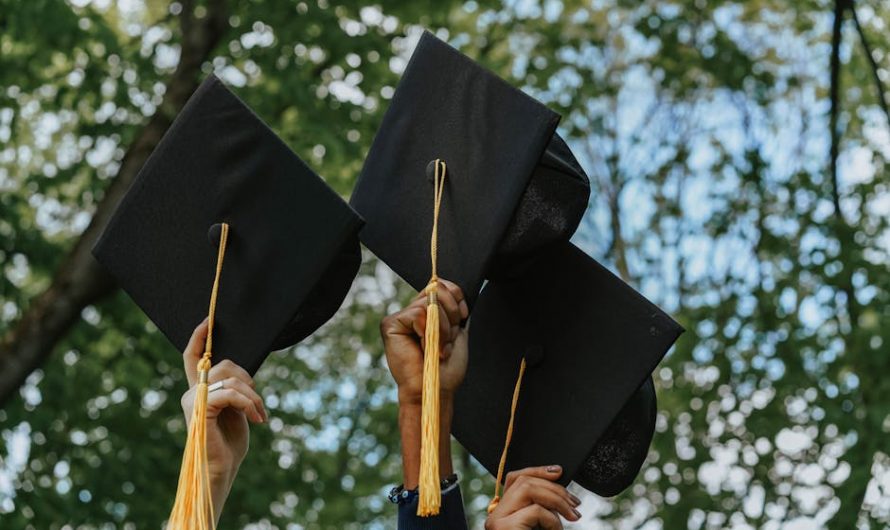 Доступный диплом с занесением в реестр по выгодной цене